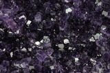 Dark Purple, Amethyst Crystal Cluster - Uruguay #123807-1